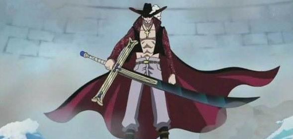 海贼王的帽子代表什么,海贼王帽子标志