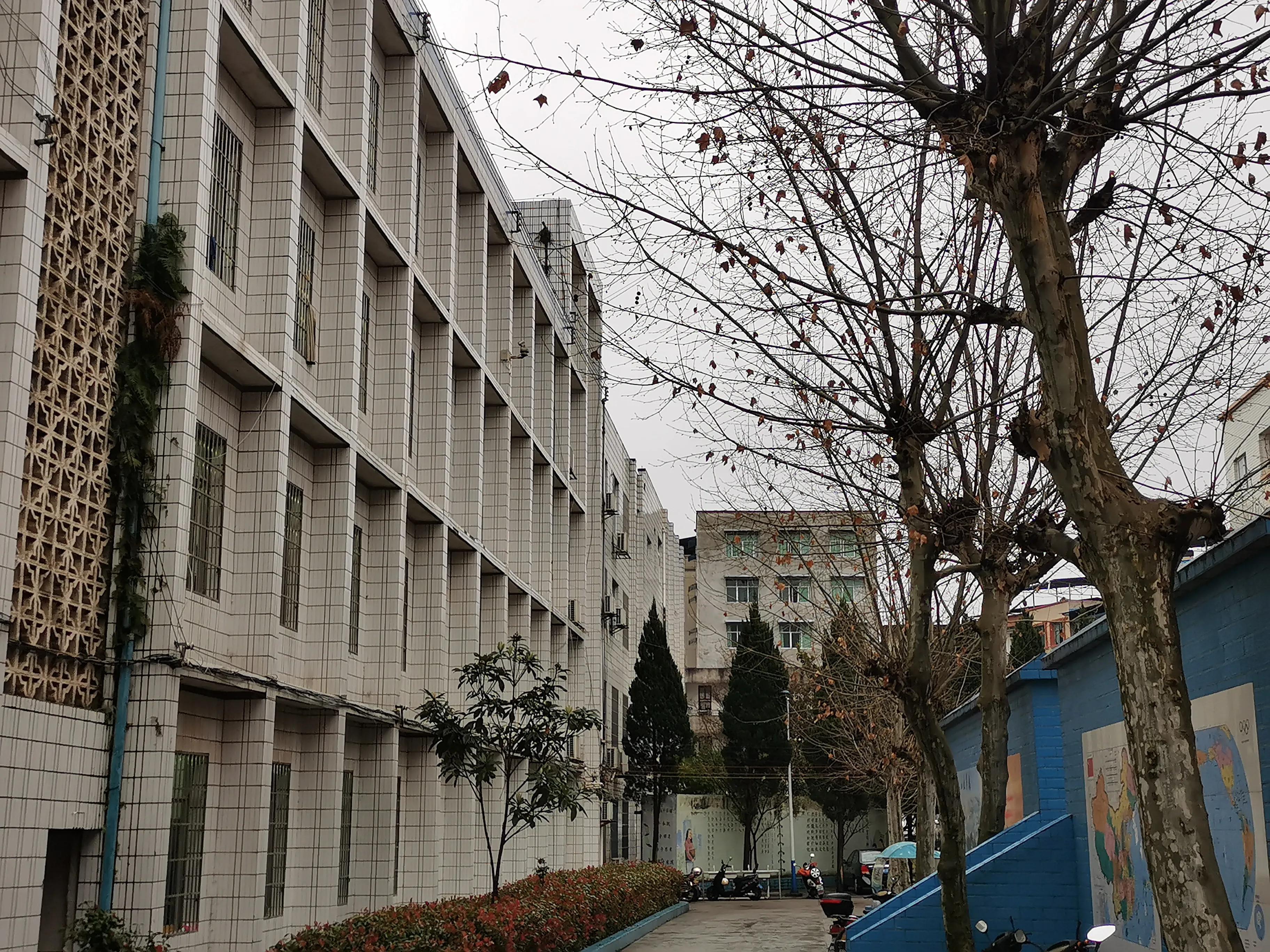 怎么总结积极有氛围的家长群,如何进到好的家长群