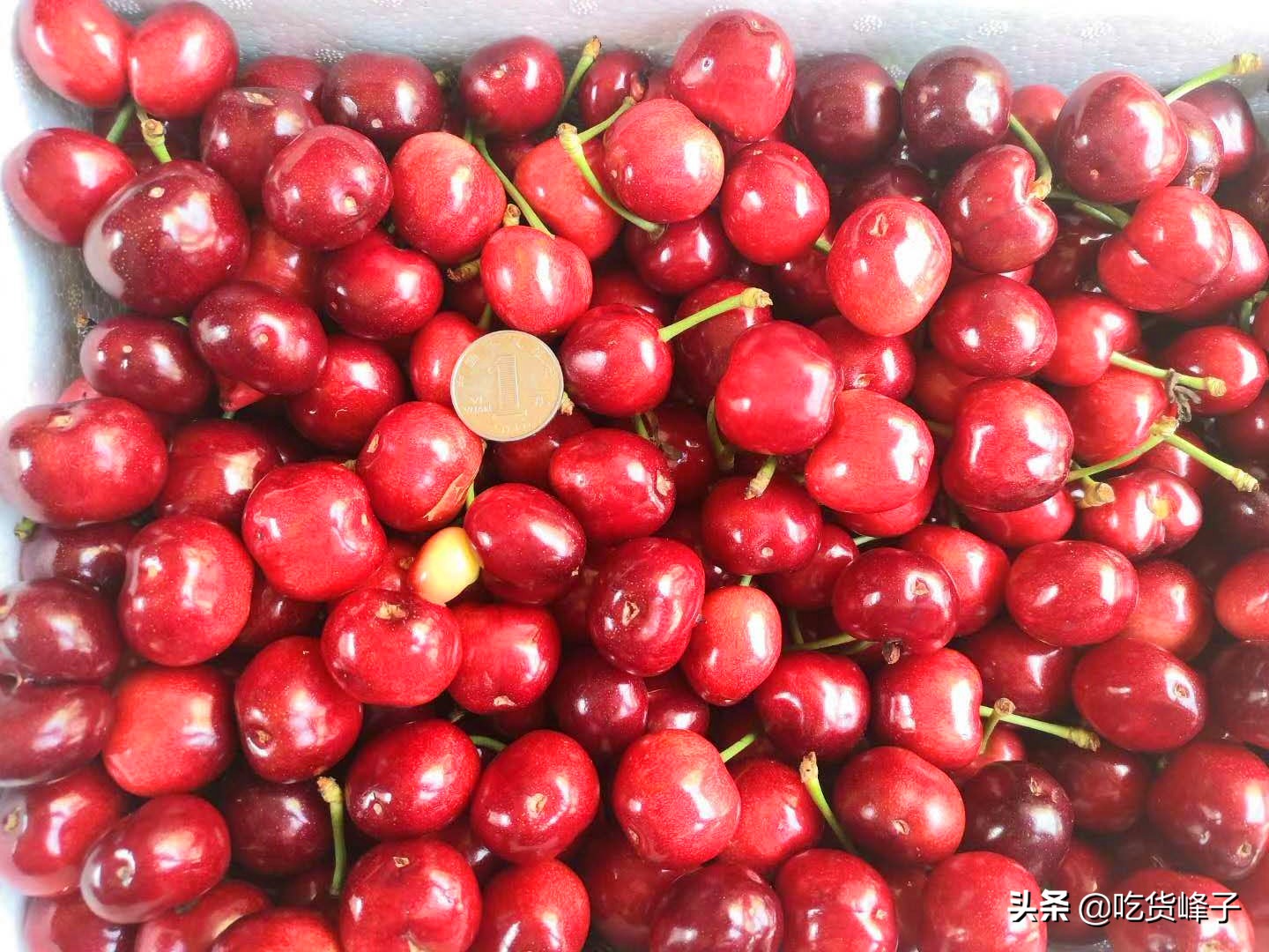车厘子与大樱桃的区别,爱吃樱桃车厘子