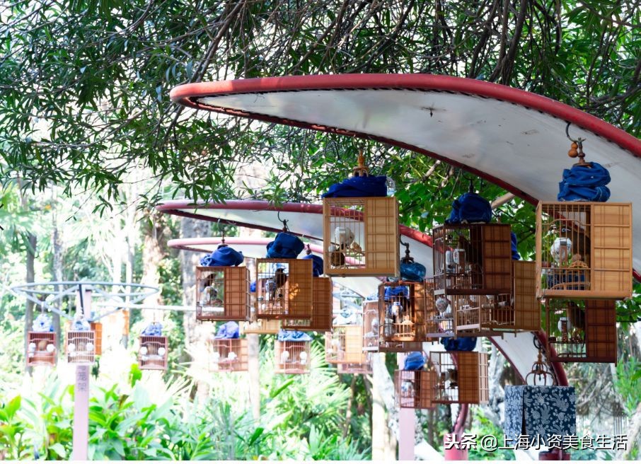 杨浦人气早餐街曝光！竟然有几乎绝迹的……