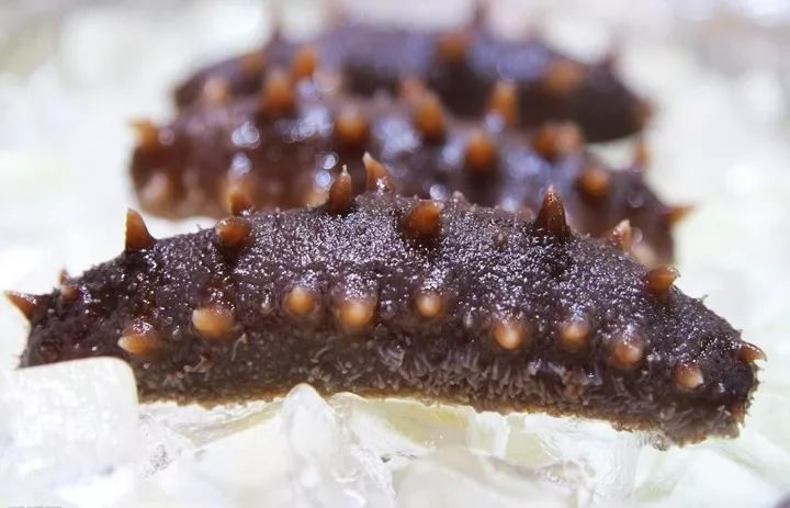 2019十大养殖品种图片,这两年最火的养殖品种