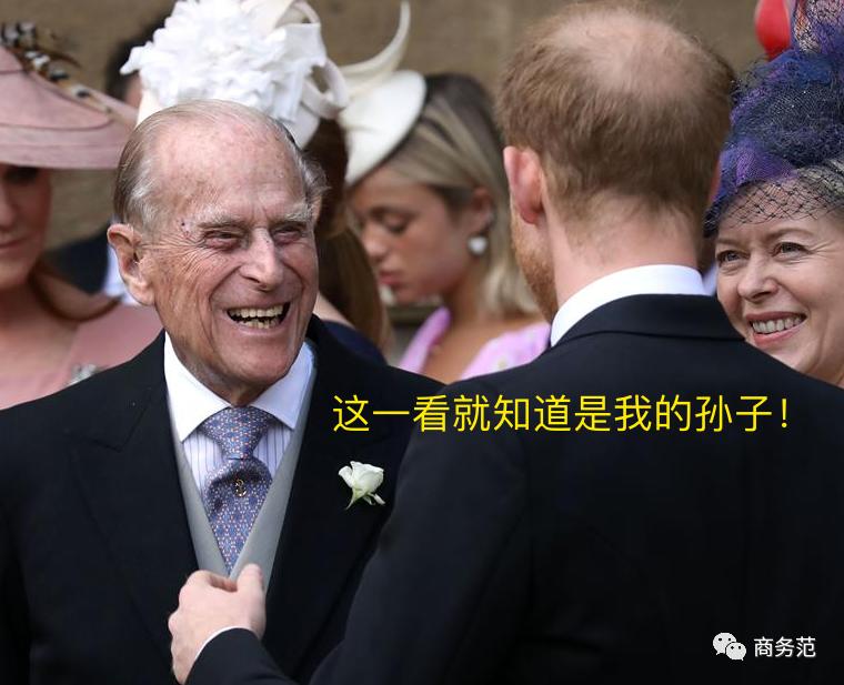 威廉王子秃顶了哈里为啥没秃顶,威廉王子为什么喜欢秃顶