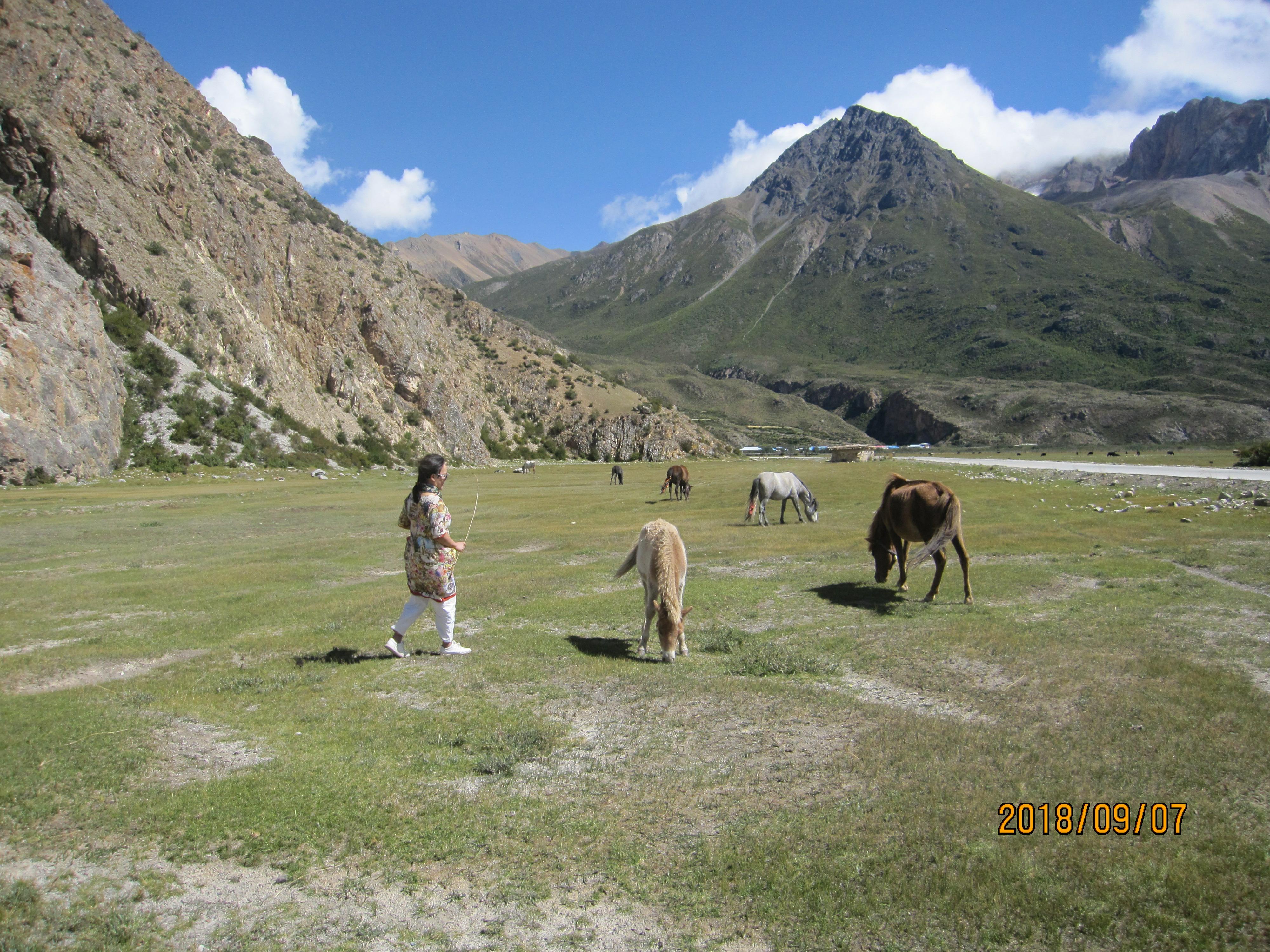 西藏第八天雪山下的然乌湖,从安徽到来西藏古冰川旅游攻略