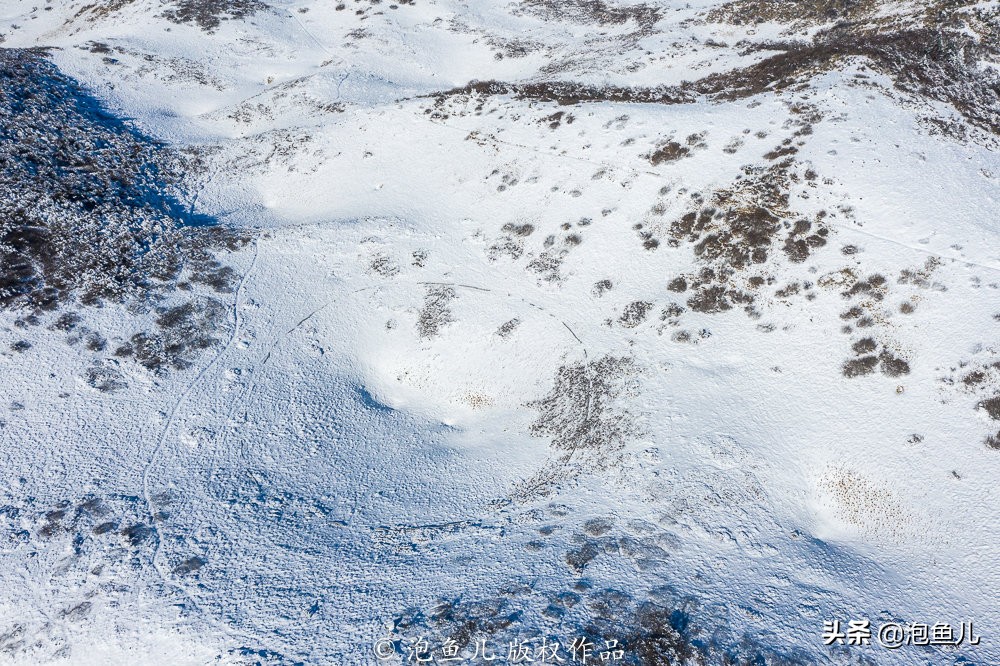 陕西秦岭发现的石头,捡石头下雪了后续