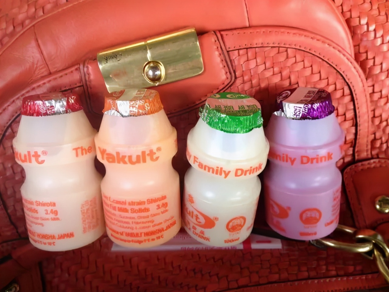 养乐多要放冰箱吗,养乐多是什么样子的