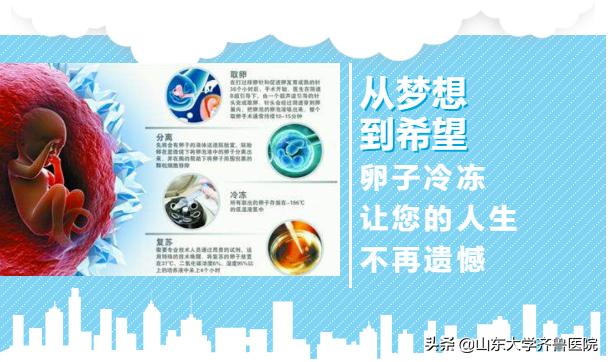 从梦想到希望——卵子冷冻让您的人生不再遗憾