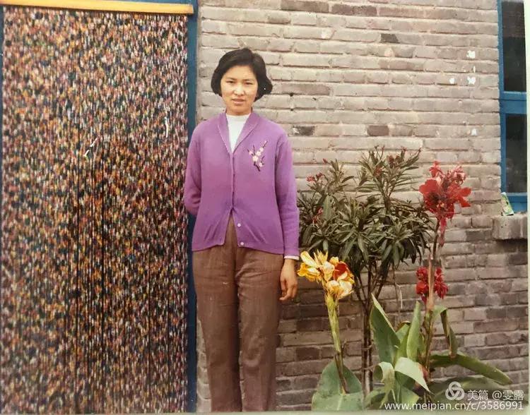 我的鄂尔多斯电视剧乐视,我的鄂尔多斯电视剧片尾曲