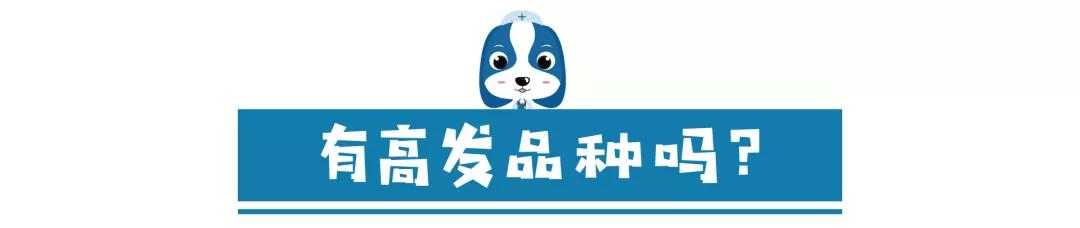 儿童眼角长个黑色的小肉球,小奶猫眼睛长肉球怎么办