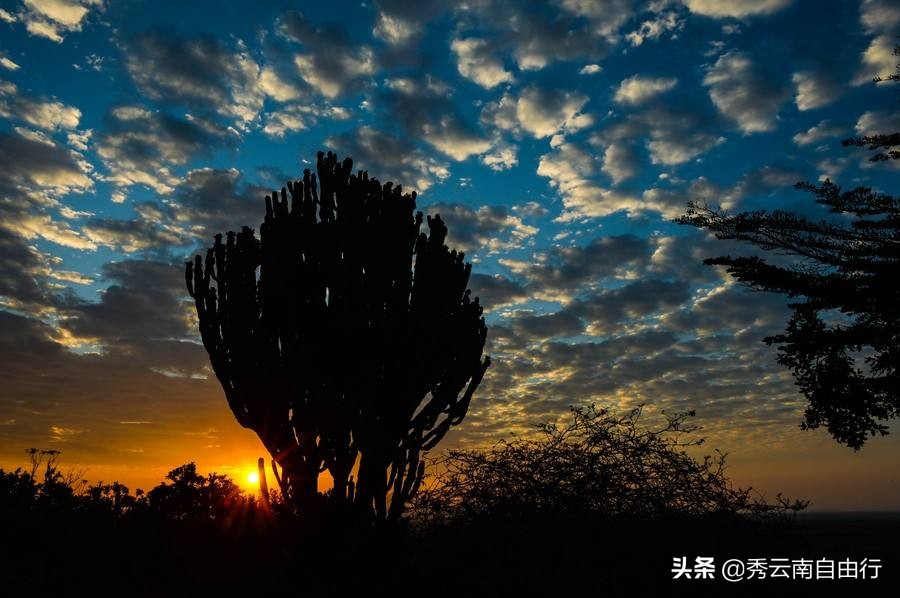 来云南感受彝族特点民族文化,云南彝族的文化和风土人情