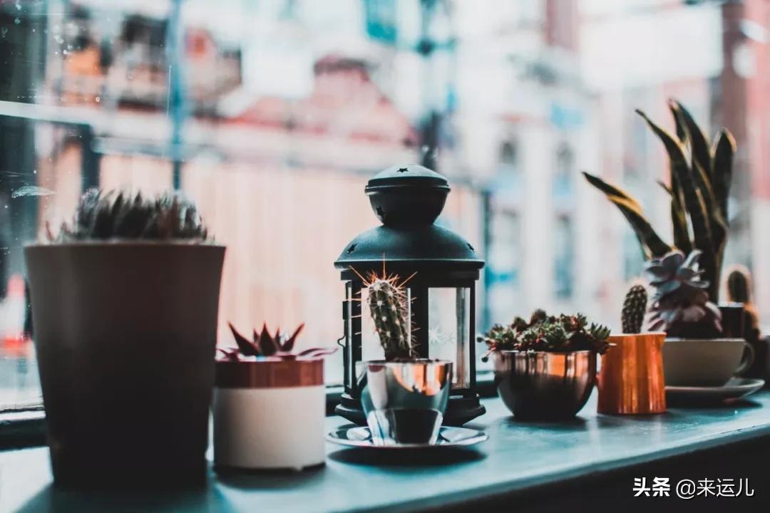 脑筋急转弯智商考题并有答案,你的智商能得多少分脑筋急转弯