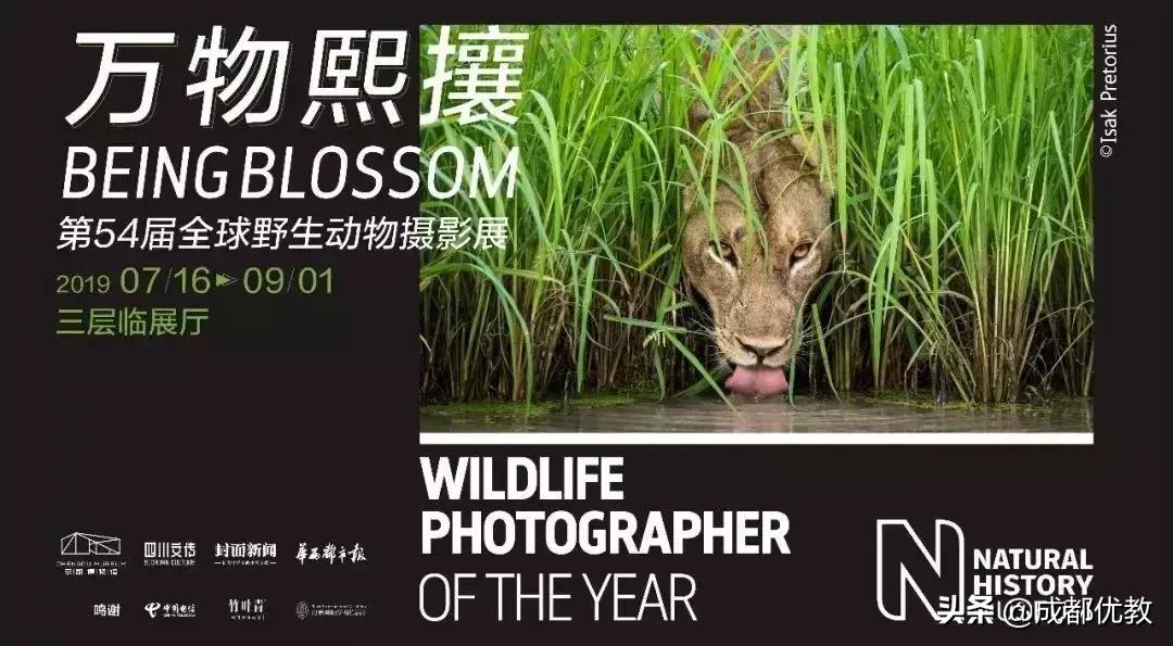 安排！亲子游必打卡：达芬奇IN成都、虫虫总动员、澳大利亚树皮画