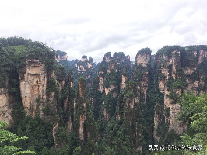 到张家界天门山自助游价格多少钱,武汉到张家界天门山三日游