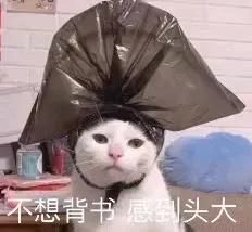 纪念辛亥革命110周年的知识梳理,辛亥革命110周年讲话重点