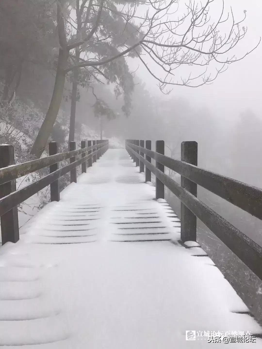 2020安徽宿州大雪暴雪,刚刚宣城发布暴雪预警