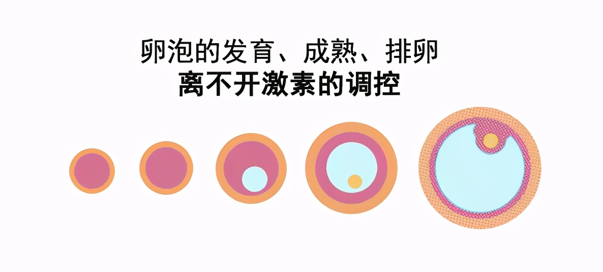 多囊卵巢不治疗也能怀孕吗？