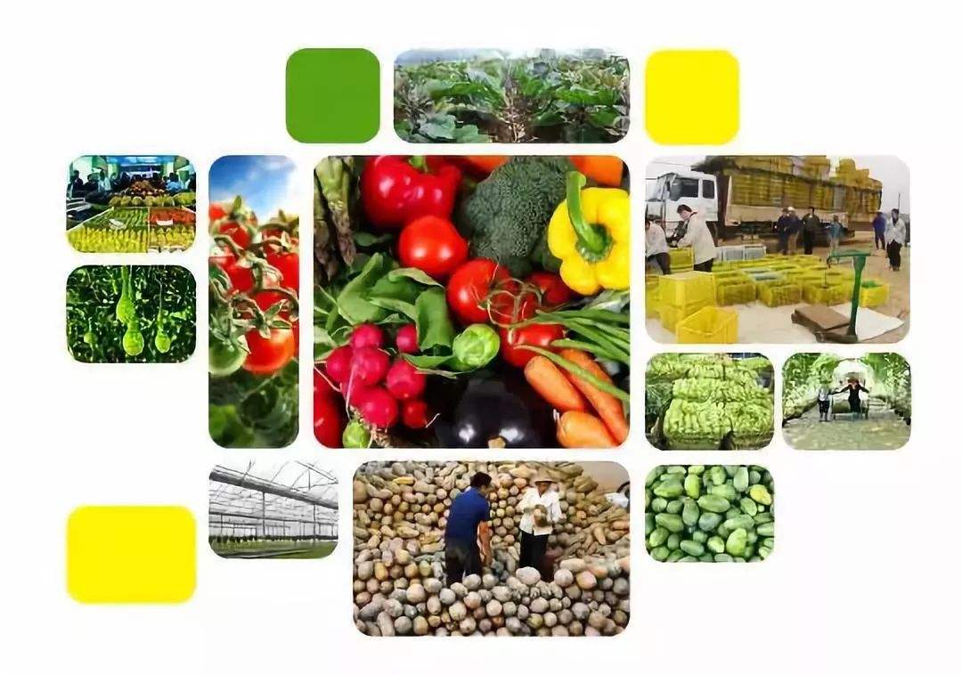 拼多多种咖啡、京东养猪、亚朵卖起了茶，互联网改造了农业什么？