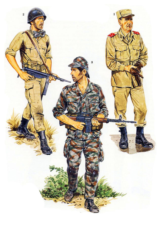 非洲解放战争，葡萄牙、安哥拉和莫桑比克军服图册