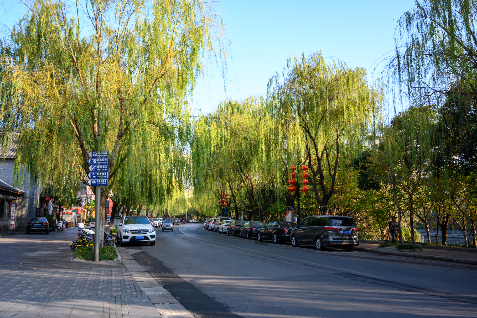 长寿之乡如皋长寿原因,世界六大长寿之乡如皋