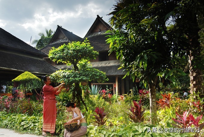 西双版纳泼水节攻略,西双版纳傣族泼水节和广西泼水节