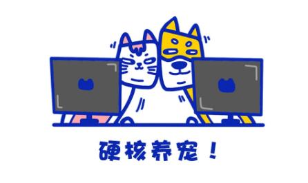 猫跑着跑着突然猝死,猫猝死的症状