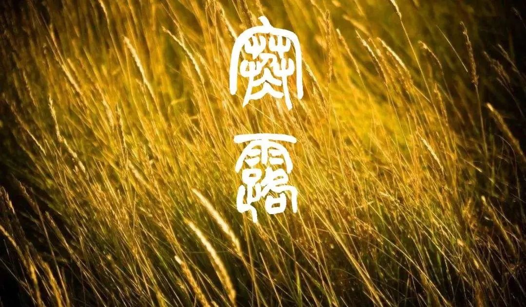 寒露看名家笔下的国画图片,文人笔下的寒露节