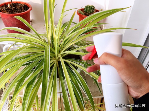 家庭清洁宜洁,家务清洁工具推荐