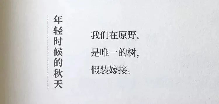 杜蕾斯的广告文案诗集,杜蕾斯最火广告文案台词求回答