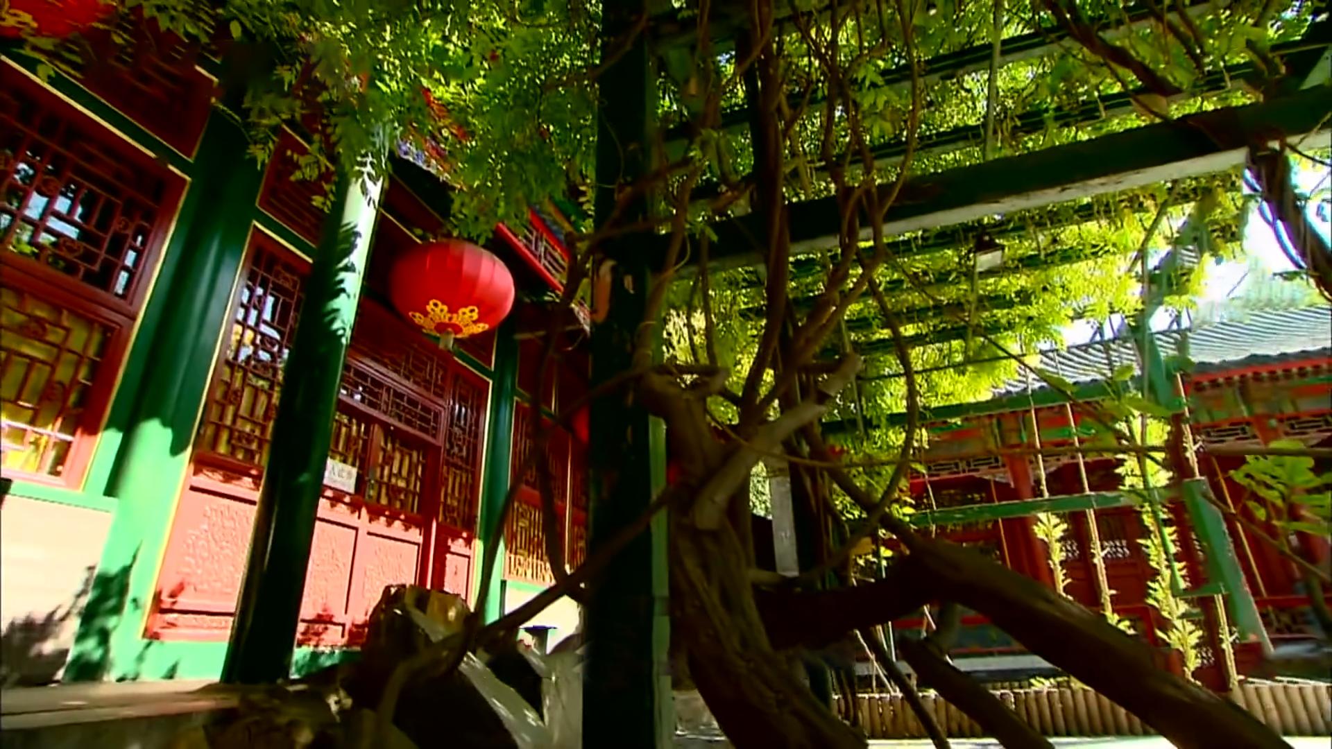 这才是豪宅1000平米别墅,这才是真正豪华别墅区