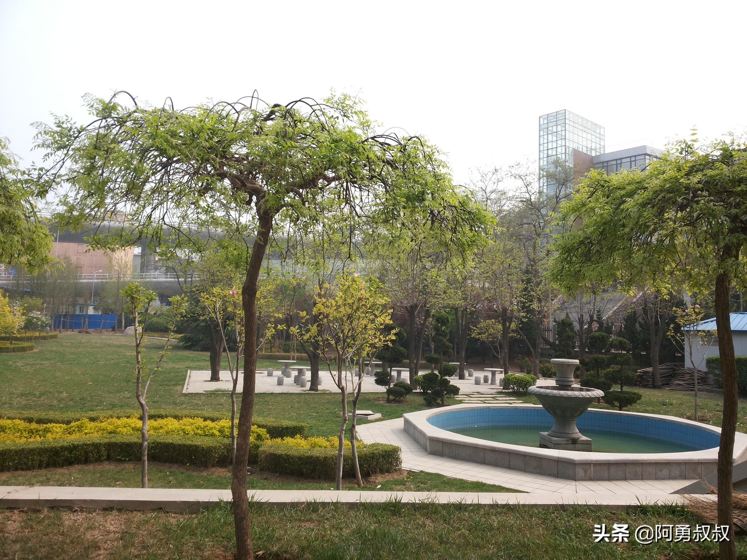 大连全国百强国际学校,大连第二十四中学全国排名