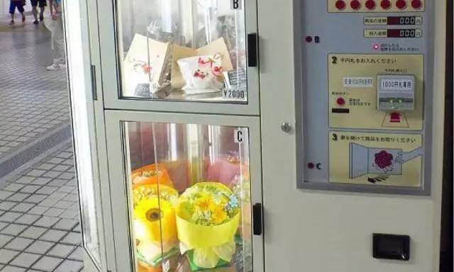 桥本环奈坂口健太郎,桥本环奈工具