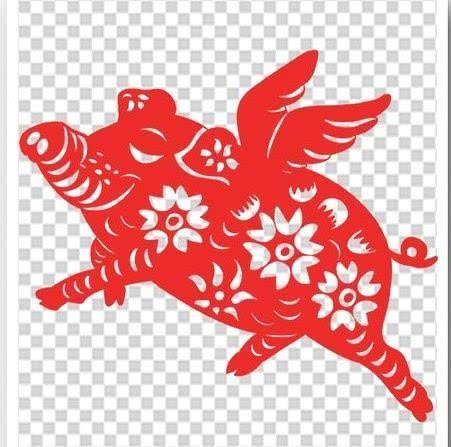 从丁亥到己亥—武昌水果湖中学六六届高三（1）班同学集会本命年