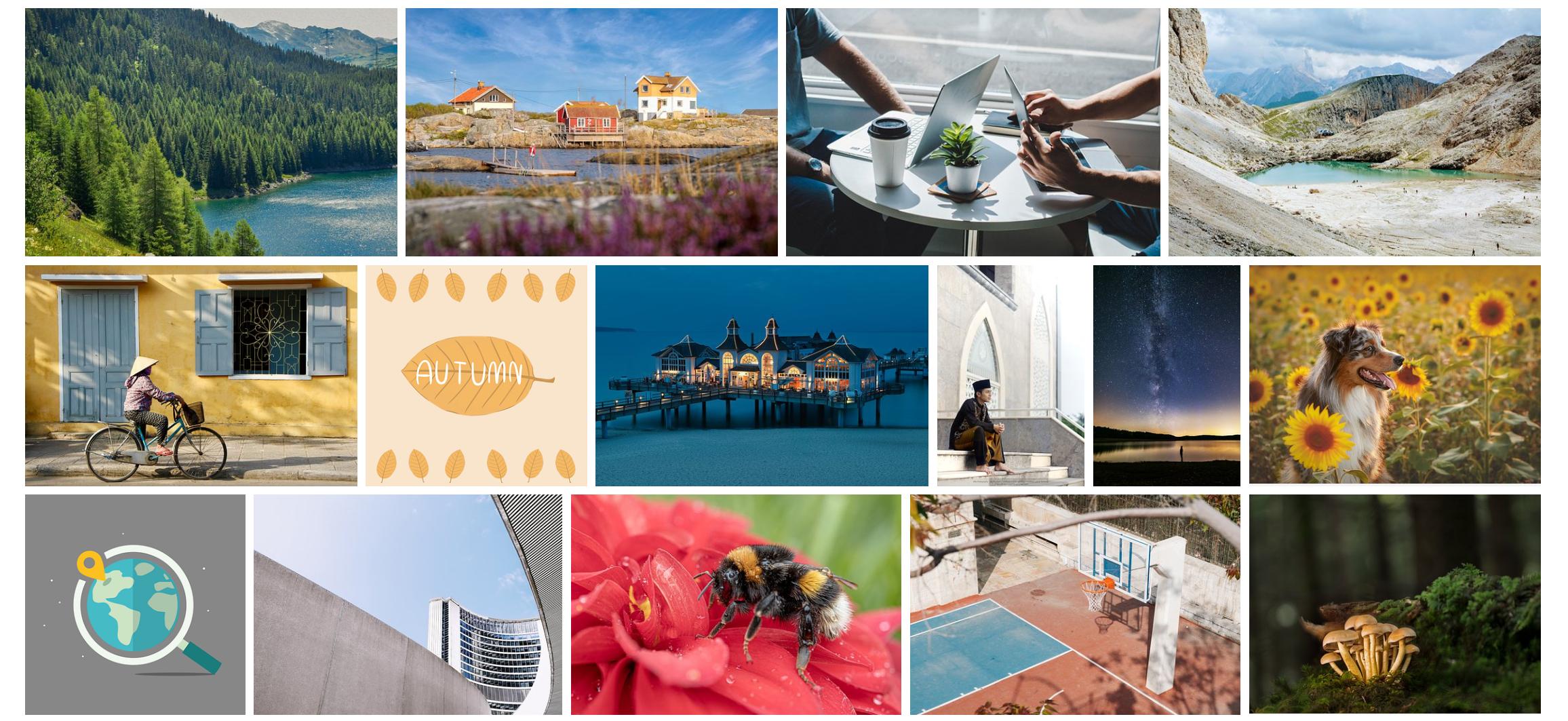 花瓣碎裂的素材,花瓣碎了素材