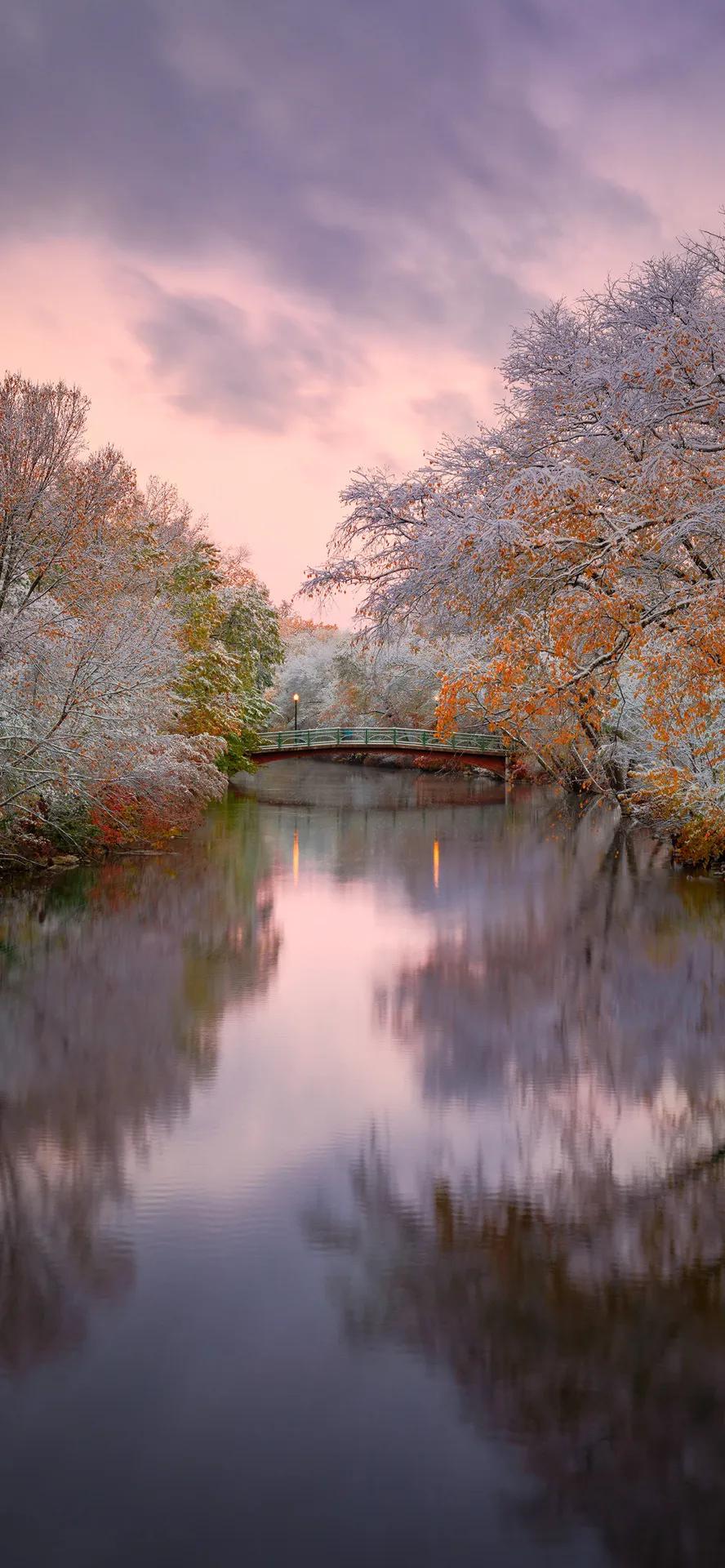 livephoto壁纸风景,livephoto壁纸动态效果不可用