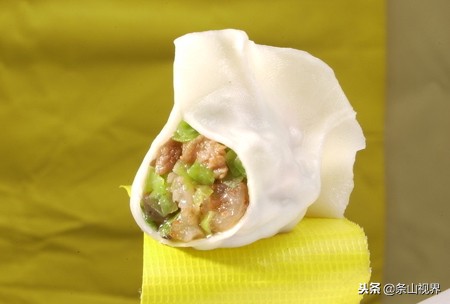 青萝卜肉馅素馅饺子怎么调馅,芹菜加肉馅素馅饺子馅做法大全