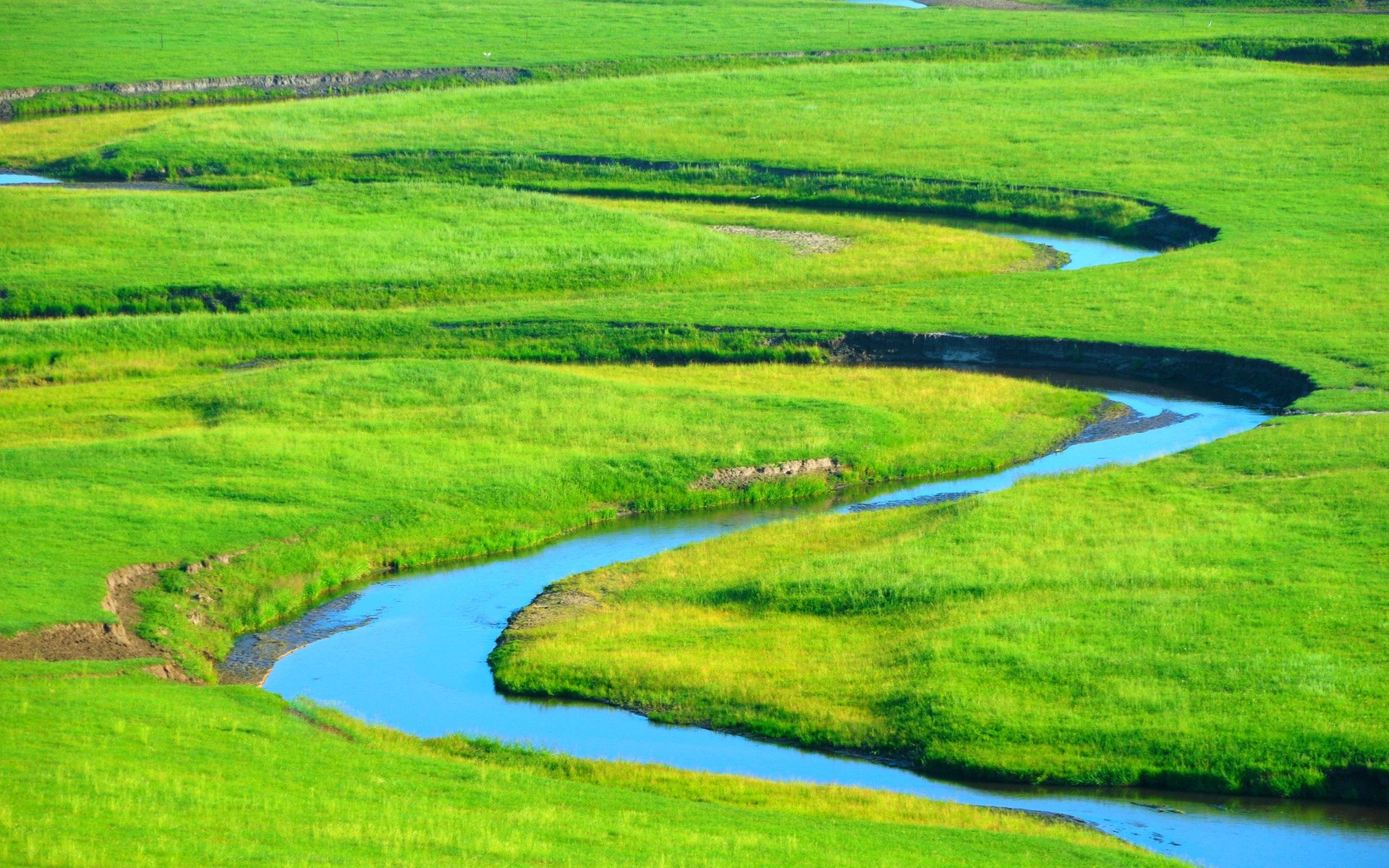 最美的护眼桌面壁纸,超清晰2340x1080曲面屏护眼壁纸