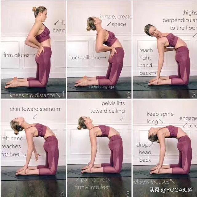 哈他瑜伽的25个体式图,哈他瑜伽26个体式