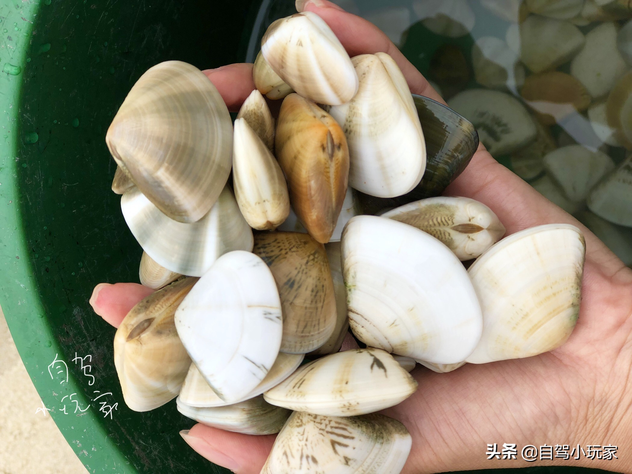 惠州最美礁石海滩,惠州最干净的沙滩推荐