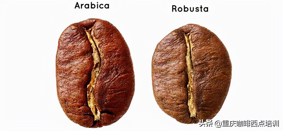 小常识-购买了新鲜烘焙的咖啡豆，先不要焦急马上喝