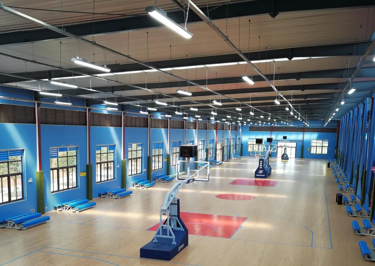 大加索尔的资料,大加索尔到底是什么水平