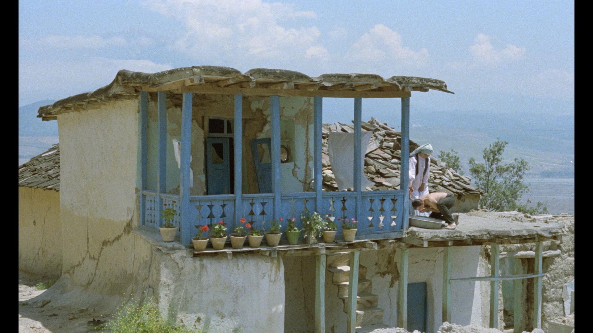 伊朗电影随风而逝想说明什么,伊朗影片生命的源泉