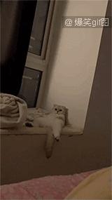 关于聚餐的幽默笑话大全,群友聚餐的幽默笑话