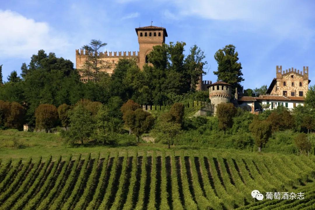 意大利夺冠：足球与酒，皆是豪门