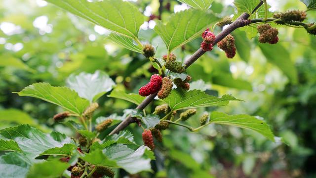 中国最低调小城市,中国最低调小镇