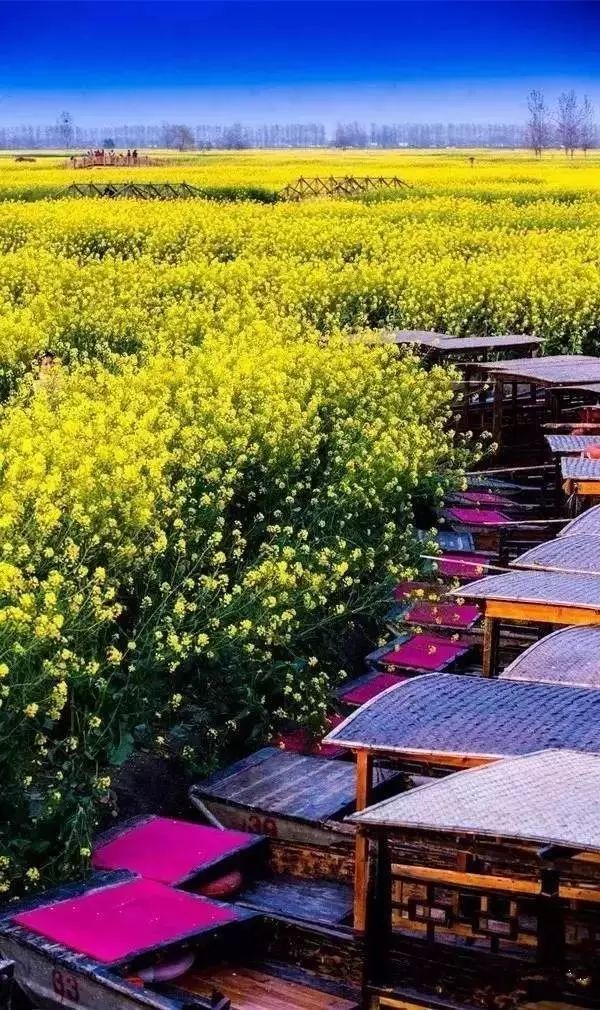 中国最美乡村Top10，有你家乡吗？