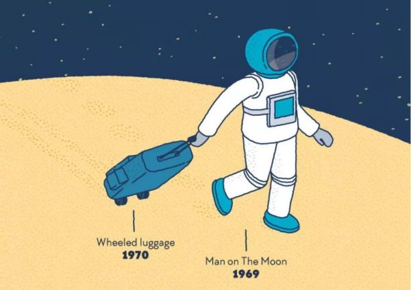 袋鼠有二个子宫,袋鼠有三个育儿袋