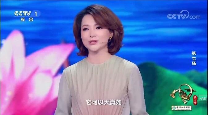 董卿在中国诗词大会第一季开场词,2022央视诗词大会康震的开场词