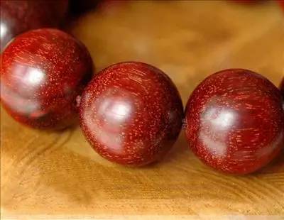 木头全部小说,木头免费观看