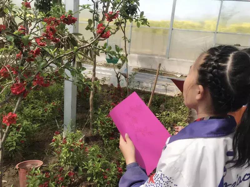 【益西户外营地教育】金川第六小学野狐湾自然研学营圆满结束！