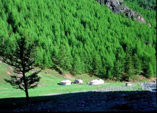 塔城市凉快的公园,塔城地区避暑的地方