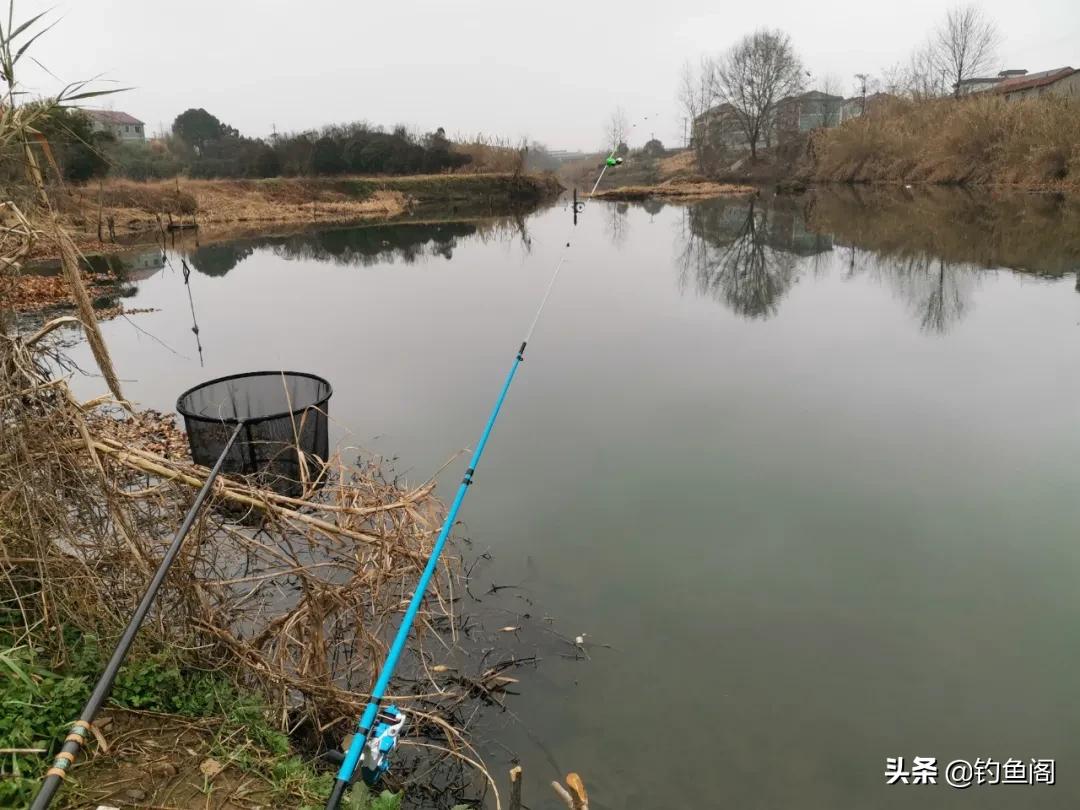 筏竿串钩用蚯蚓好还是红虫颗粒好,筏竿串钩挂蚯蚓能钓什么鱼